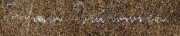 Handschriftliche Notiz auf verwitterter Albumseite aus dem Ersten Weltkrieg