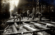 Deutsche Soldaten beim Bau eines Knüppeldamms im Wald während des Ersten Weltkriegs