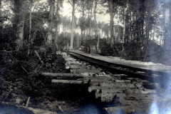 Knüppeldamm durch Waldgebiet mit Holzstämmen und Schienen