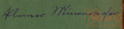 Handschriftliche Notizen auf grünem Papier, die Gedanken und Ideen festhalten