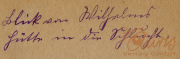 Handgeschriebene Notiz über persönliche Gedanken und Empfindungen in einer alten Schriftform