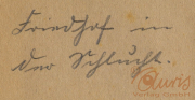 Ein Blick auf kunstvolle Handschriftentwürfe, die die Eleganz vergangener Zeiten widerspiegeln