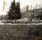 Ruhige Winterlandschaft mit Menschen und Tieren im verschneiten Wald in den frühen Morgenstunden