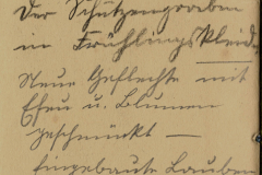 Eine historische Handschrift mit einem poetischen Text über die Schönheit der Natur in einem alten Buch