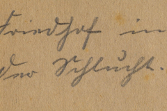 Ein Blick auf kunstvolle Handschriftentwürfe, die die Eleganz vergangener Zeiten widerspiegeln