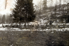 Ruhige Winterlandschaft mit Menschen und Tieren im verschneiten Wald in den frühen Morgenstunden