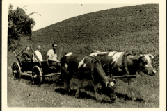 Familie in der Landwirtschaft