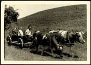 Familie in der Landwirtschaft