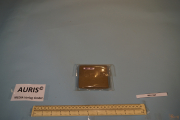 DSC09462