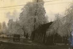 Winterlandschaft im Ersten Weltkrieg