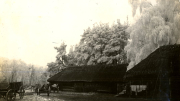 Foto: Ostfeldzug im Ersten Weltkrieg