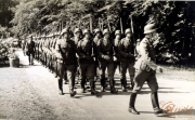 Soldaten marschieren entlang eines Waldes während des Zweiten Weltkriegs in einer historischen Aufzeichnung