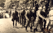 Soldaten patrouillieren in einer lichten Waldlandschaft, umgeben von der Natur und festem Marsch