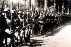 Soldaten marschieren in geordneter Formation entlang einer von Bäumen gesäumten Straße