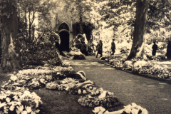 Ein blühender Garten mit Trauergästen während einer Zeremonie im Herzen der Natur