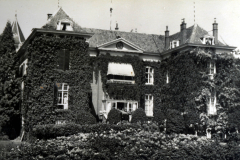 Historisches Herrenhaus umgeben von grünen Ranken in voller Blüte während einer warmen Sommertagsfeier
