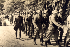 Soldaten patrouillieren in einer lichten Waldlandschaft, umgeben von der Natur und festem Marsch