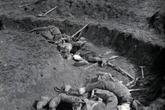 Eindrücke aus dem Ersten Weltkrieg: Praktiken und Verluste an der Front