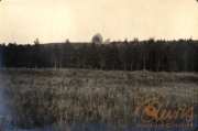 Blick auf ein zerstörtes Schlachtfeld im Ersten Weltkrieg mit einem Ring der Zerstörung im Hintergrund