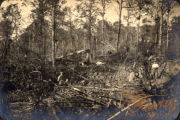 Zerstörte Landschaft aus dem Ersten Weltkrieg mit Soldaten in einem Waldgebiet