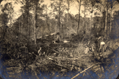 Zerstörte Landschaft aus dem Ersten Weltkrieg mit Soldaten in einem Waldgebiet