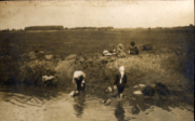 Erinnerungsalbum WK I,  Feldartillerie Regiment 112, I.D 56 ; Offiziersalbum, Galizien, durchnummeriert 1- 360 + 1 - 180