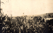 Erinnerungsalbum WK I,  Feldartillerie Regiment 112, I.D 56