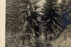 Winterlandschaft im Ersten Weltkrieg