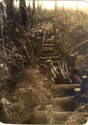 Foto: Historisches Bild von einem alten Stieg in einem Wald