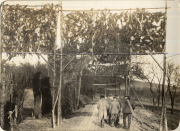 Erzherzog Karl im Ersten Weltkrieg