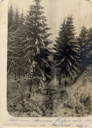 Winterlandschaft im Ersten Weltkrieg