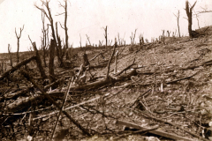 Ruinenlandschaft nach Kämpfen im Ersten Weltkrieg in der Region des 1. Komp. Kgl. Pr.Garde Res. Pion. Rgt