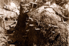 Blick auf einen Schützengraben aus dem Ersten Weltkrieg der 1. Kompanie des Königlich Preußischen Garde-Reserve-Pionier-Regiments