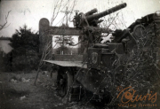Historisches Bild eines Geschützes aus dem Ersten Weltkrieg, I.R. 117 I.D. 25, in verwildertem Gelände