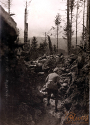 Soldat auf einem Trampelpfad im Wald während des Ersten Weltkriegs, Einblick in das Leben der I.R. 117 I.D. 25