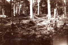 Fotoalbum mit dem Titel Aus grosser Zeit aus dem Ersten Weltkrieg der I.R. 117 I.D. 25 zeigt die Umgebung eines Waldes