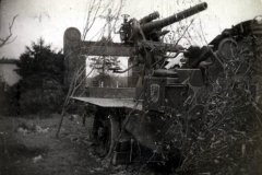 Historisches Bild eines Geschützes aus dem Ersten Weltkrieg, I.R. 117 I.D. 25, in verwildertem Gelände
