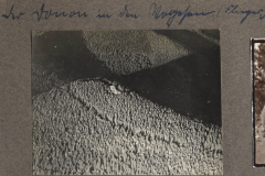 Fotoalbum mit dem Aufdruck Aus grosser Zeit und Erinnerung an die 117 I.D. im Ersten Weltkrieg