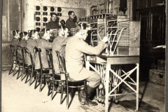 Kommunikationseinheit deutscher Soldaten im Ersten Weltkrieg in einer Feldtelefonzentrale