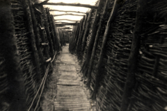 Schützengraben im Ersten Weltkrieg bei Trench Warfare