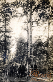 Soldaten im Ersten Weltkrieg bei der Errichtung eines Beobachtungspostens im Wald