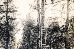 Soldaten im Ersten Weltkrieg bei der Errichtung eines Beobachtungspostens im Wald