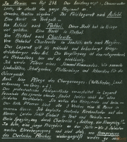 Bericht über die Erlebnisse einer Soldatengruppe im Ersten Weltkrieg an einem Abend in Charleville und Petthe