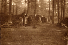 Militärische Stellungen im Wald während des Ersten Weltkriegs in Europa