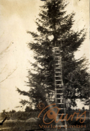 Aufstieg eines Soldaten während des Ersten Weltkriegs zu einem Aussichtspunkt im Wald