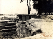 Blick auf einen Schützengraben im Ersten Weltkrieg, umgeben von Bäumen und Schnee im winterlichen Gelände