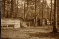 Bunker im Wald während des Ersten Weltkriegs in Europa
