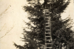 Aufstieg eines Soldaten während des Ersten Weltkriegs zu einem Aussichtspunkt im Wald