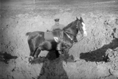 Ein Soldat und sein Pferd in einem Graben während des Ersten Weltkriegs