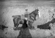 Ein Soldat und sein Pferd in einem Graben während des Ersten Weltkriegs